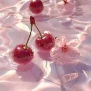 ヒメ日記 2025/03/31 12:01 投稿 今井しほ ABC 岩手ソープ