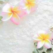 ヒメ日記 2025/07/10 14:01 投稿 今井しほ ABC 岩手ソープ