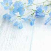 ヒメ日記 2025/07/29 10:46 投稿 今井しほ ABC 岩手ソープ