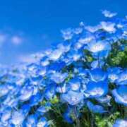 ヒメ日記 2025/08/07 12:46 投稿 今井しほ ABC 岩手ソープ