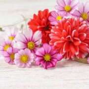 ヒメ日記 2025/09/09 22:16 投稿 今井しほ ABC 岩手ソープ