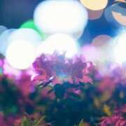 ヒメ日記 2025/09/23 21:31 投稿 今井しほ ABC 岩手ソープ