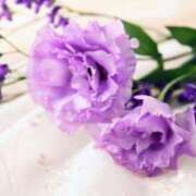 ヒメ日記 2025/09/24 23:16 投稿 今井しほ ABC 岩手ソープ