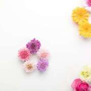 ヒメ日記 2025/11/02 14:16 投稿 今井しほ ABC 岩手ソープ