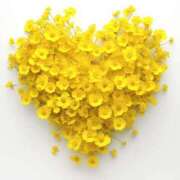 ヒメ日記 2025/11/08 21:16 投稿 今井しほ ABC 岩手ソープ