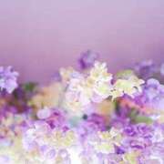 ヒメ日記 2025/11/21 09:01 投稿 今井しほ ABC 岩手ソープ