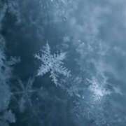 ヒメ日記 2026/01/21 23:31 投稿 今井しほ ABC 岩手ソープ