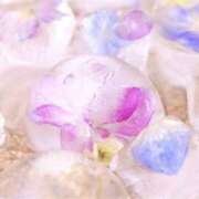 ヒメ日記 2026/01/31 14:31 投稿 今井しほ ABC 岩手ソープ