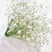 ヒメ日記 2026/02/25 14:31 投稿 今井しほ ABC 岩手ソープ