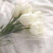 ヒメ日記 2026/03/04 22:46 投稿 今井しほ ABC 岩手ソープ