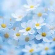 ヒメ日記 2026/03/05 12:01 投稿 今井しほ ABC 岩手ソープ