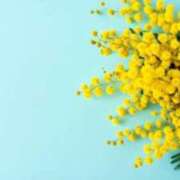 ヒメ日記 2026/03/29 22:46 投稿 今井しほ ABC 岩手ソープ