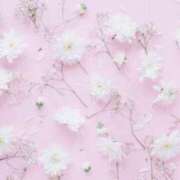 ヒメ日記 2026/06/29 09:16 投稿 今井しほ ABC 岩手ソープ