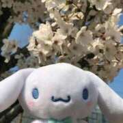 ヒメ日記 2025/07/31 12:31 投稿 川西るる ABC 岩手ソープ