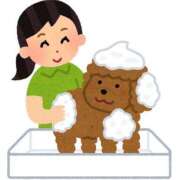 ヒメ日記 2025/09/03 10:31 投稿 川西るる ABC 岩手ソープ