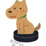 ヒメ日記 2025/09/04 15:46 投稿 川西るる ABC 岩手ソープ