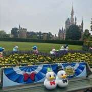 ヒメ日記 2025/11/29 16:01 投稿 川西るる ABC 岩手ソープ