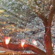 ヒメ日記 2026/03/07 19:01 投稿 川西るる ABC 岩手ソープ