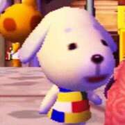 ヒメ日記 2026/03/23 13:16 投稿 川西るる ABC 岩手ソープ