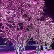 ヒメ日記 2024/12/08 18:31 投稿 宮田ひとみ ABC 岩手ソープ