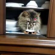 ヒメ日記 2025/02/03 21:31 投稿 宮田ひとみ ABC 岩手ソープ