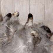 ヒメ日記 2025/02/05 09:46 投稿 宮田ひとみ ABC 岩手ソープ