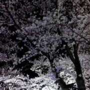 ヒメ日記 2025/04/27 22:31 投稿 宮田ひとみ ABC 岩手ソープ