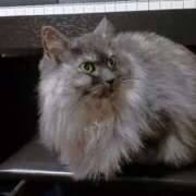 宮田ひとみ 予約してね ABC 岩手ソープ