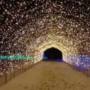 ヒメ日記 2025/12/31 20:31 投稿 宮田ひとみ ABC 岩手ソープ