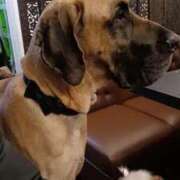 ヒメ日記 2026/01/08 23:46 投稿 宮田ひとみ ABC 岩手ソープ