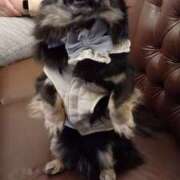 ヒメ日記 2026/01/10 16:16 投稿 宮田ひとみ ABC 岩手ソープ