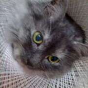 ヒメ日記 2026/01/13 08:16 投稿 宮田ひとみ ABC 岩手ソープ