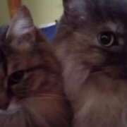 ヒメ日記 2026/04/02 12:01 投稿 宮田ひとみ ABC 岩手ソープ