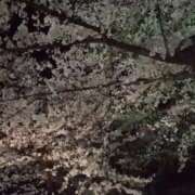 ヒメ日記 2026/04/13 19:16 投稿 宮田ひとみ ABC 岩手ソープ