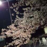 ヒメ日記 2026/04/14 00:01 投稿 宮田ひとみ ABC 岩手ソープ