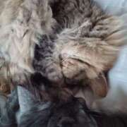 ヒメ日記 2026/04/16 10:46 投稿 宮田ひとみ ABC 岩手ソープ