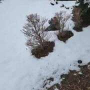 ヒメ日記 2025/03/06 07:46 投稿 斉藤あやか ABC 岩手ソープ