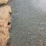 ヒメ日記 2026/04/21 06:31 投稿 斉藤あやか ABC 岩手ソープ