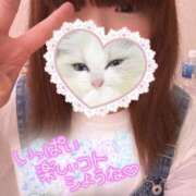 ヒメ日記 2025/05/11 10:21 投稿 るみ ちゃんこ千葉東金店