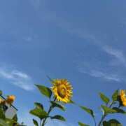 ヒメ日記 2025/09/04 20:58 投稿 るみ ちゃんこ千葉東金店