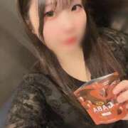 ヒメ日記 2024/12/18 16:41 投稿 はる アラカルト