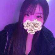 ヒメ日記 2024/12/30 19:50 投稿 はる アラカルト