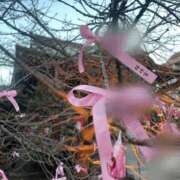 ヒメ日記 2025/01/07 13:04 投稿 はる アラカルト