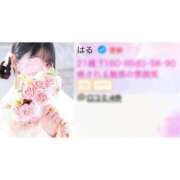 ヒメ日記 2025/02/17 20:02 投稿 はる アラカルト