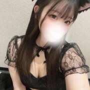 ヒメ日記 2025/02/22 14:33 投稿 はる アラカルト