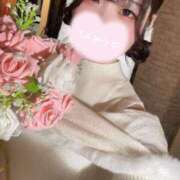 ヒメ日記 2025/02/26 10:00 投稿 はる アラカルト