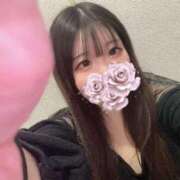 ヒメ日記 2025/03/26 18:44 投稿 はる アラカルト