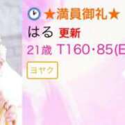 ヒメ日記 2025/05/06 22:04 投稿 はる アラカルト