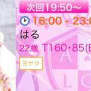 ヒメ日記 2025/06/13 13:40 投稿 はる アラカルト