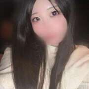 ヒメ日記 2025/06/22 08:51 投稿 はる アラカルト